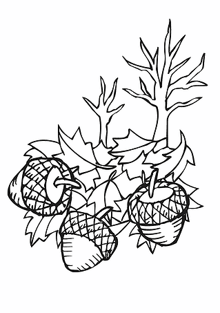 Autumn: Acorns in the Foliage