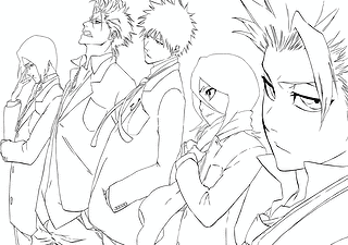 Bleach Strange Company