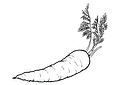 Carrots: Queen of Autumn