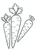 Carrots: Vegetables for Soup