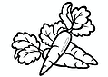Carrots: Tidy Root Vegetables