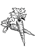 Useful Carrots