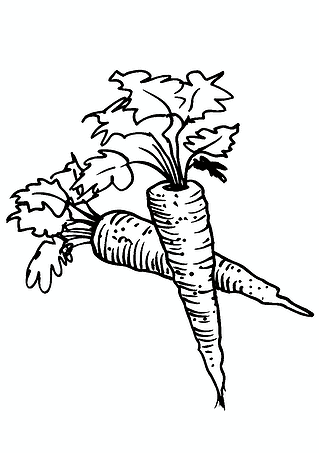 Useful Carrots
