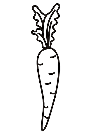 Carrots Vita Longa