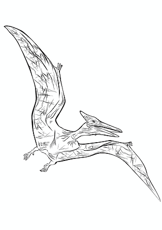 Pterodactyl Dinosaur