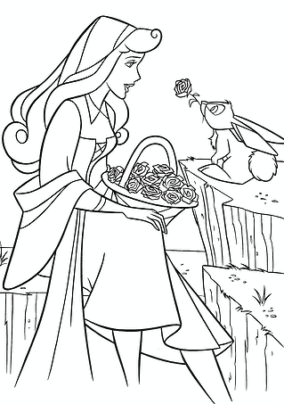 Aurora (Disney Princess): Gift From Bunny Rabbit