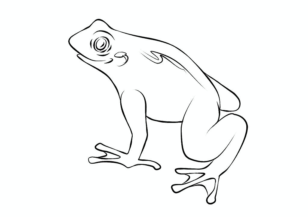 Jolly Frog Coloring Page