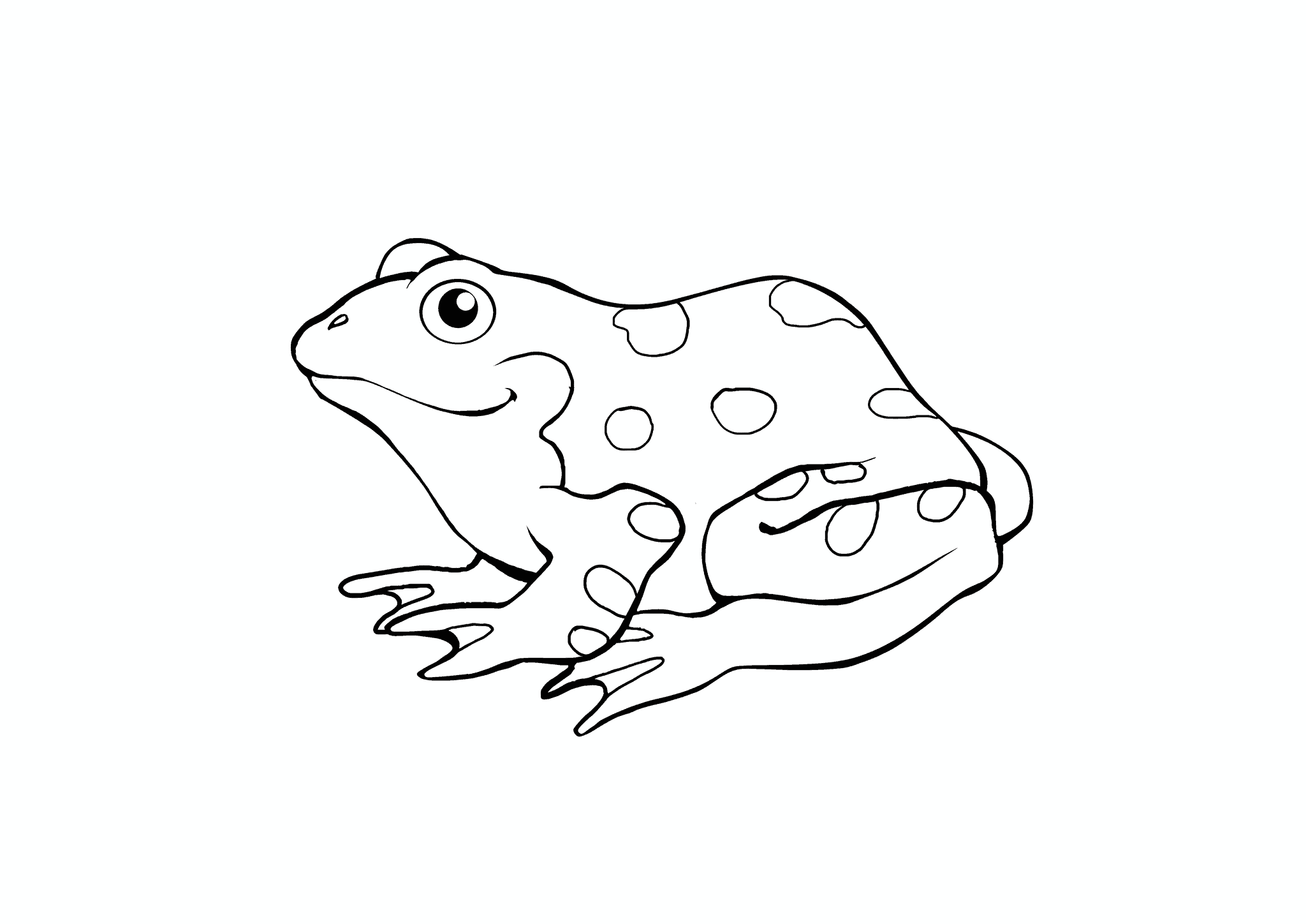 Amphibian Coloring Pages (Free PDF Printables)