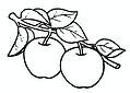 Couple of Apples on a Branch