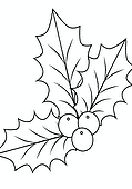 Leaves of Holly