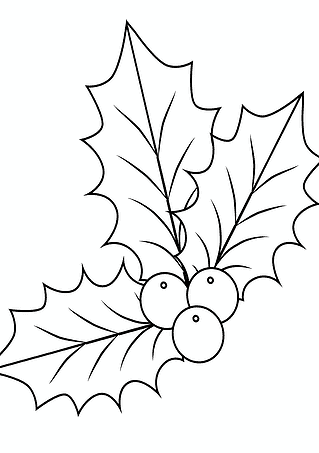 Leaves of Holly