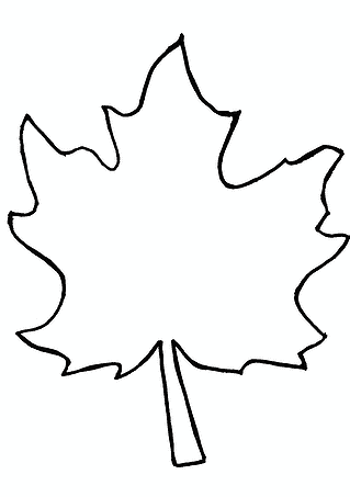 Maple Leaf