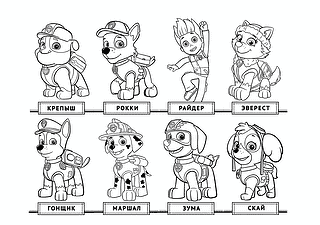 All Paw Patrol Characters
