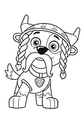 Paw Patrol: Rocky in a Viking Outfit