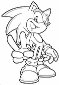 Sonic the Hedgehog After a Mission
