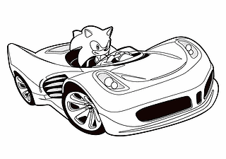 Supersonic Hedgehog in the Car