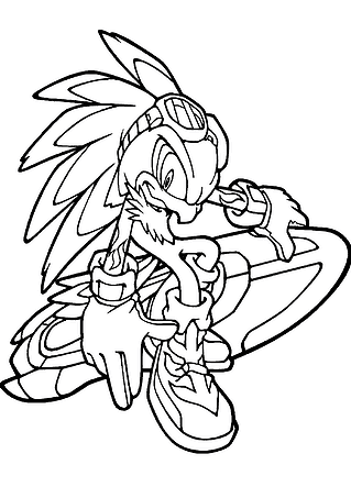 Sonic the Hedgehog: Jet Hawk