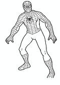 Spiderman Costume