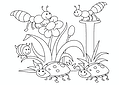 Spring: Bugs on Flowers