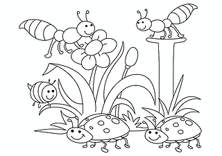 Spring: Bugs on Flowers