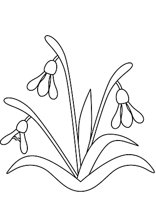 Spring: Flowers Are Blooming