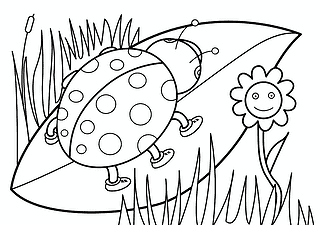 Spring: Ladybug