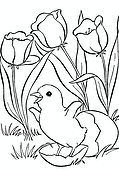 Spring: Chick Has Hatched