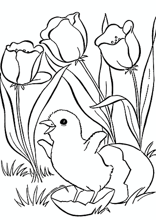 Spring: Chick Has Hatched