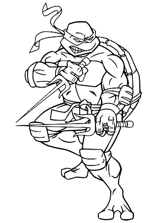 Ninja Turtles: Raphael in a Fighting Pose