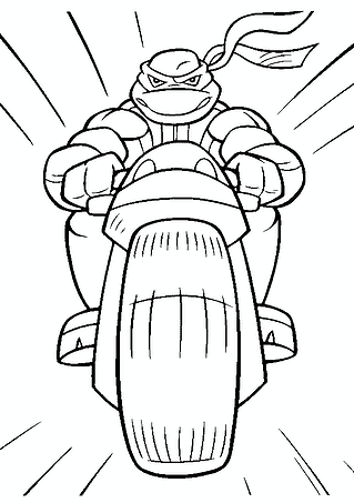 Ninja Turtles: Donatello on a Motorcycle
