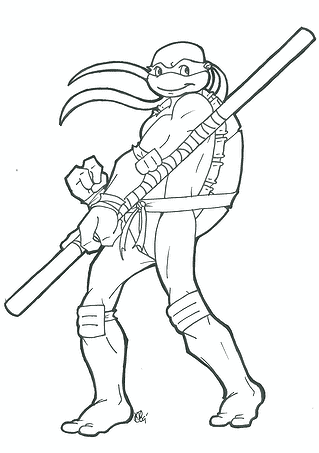 Ninja Turtles: Stylish Donatello