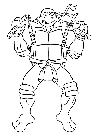 Ninja Turtles: Michelangelo and His Nunchakus
