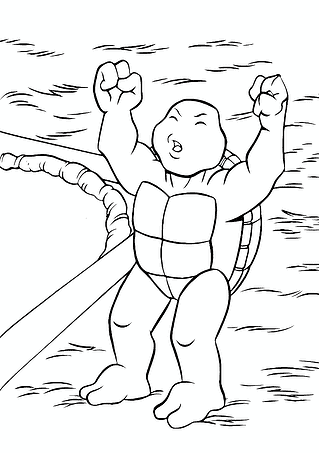 Ninja Turtles Baby