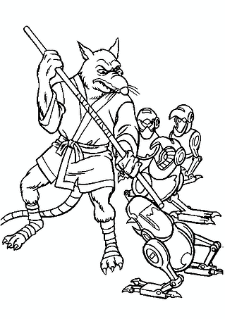 Ninja Turtles: Splinter Fighting Robots