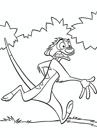 Lion King: Timon is Terrified