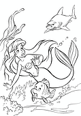 Little Mermaid: a Shark in Pursuit of a Mermaid