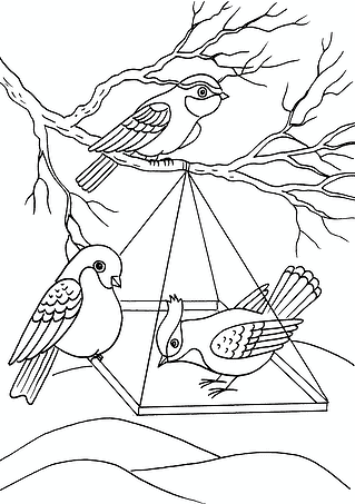 Winter: Bird Feeder