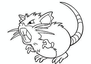Ratikate Pokemon