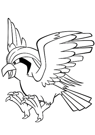 Pidgeet Pokemon