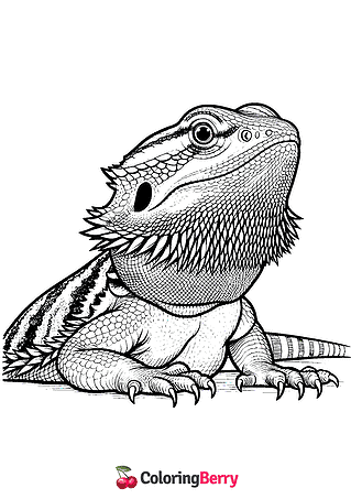 Bearded Dragon Coloring Page