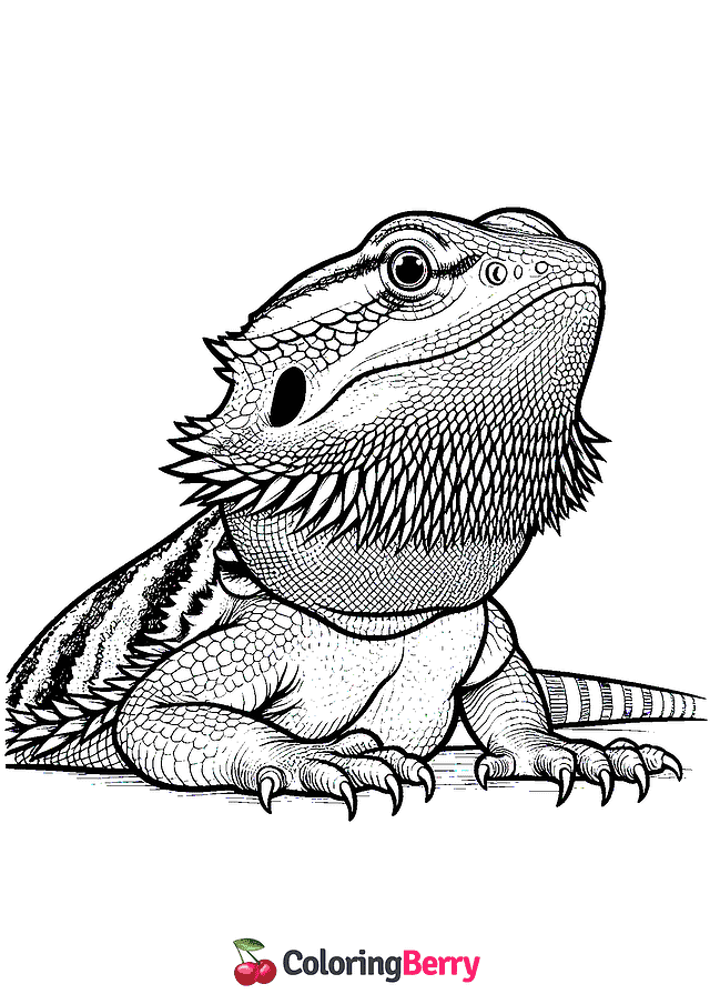 Bearded Dragon Coloring Page