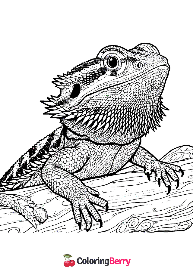 Bearded Dragon Lizard Coloring Page