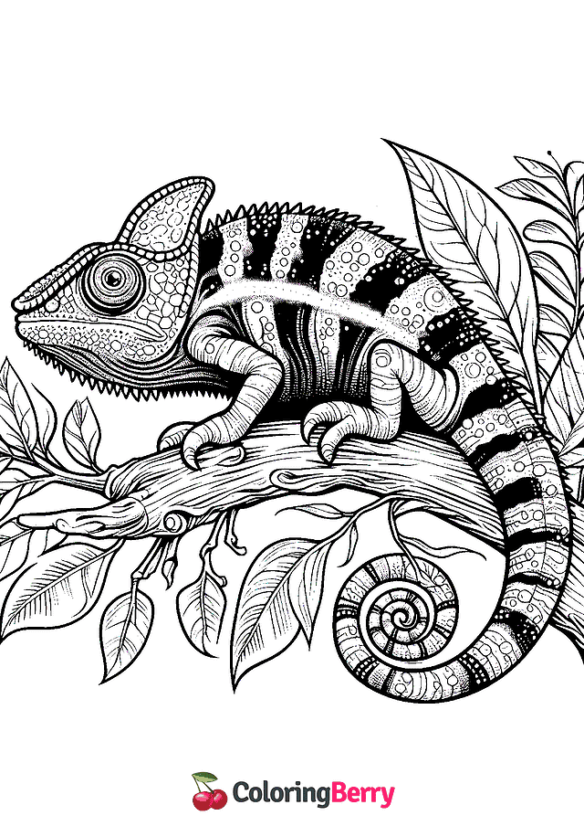 Chameleon Lizard Coloring Page