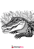 Detailed Alligator