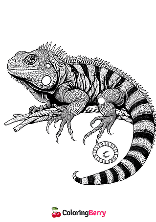 Detailed Lizard
