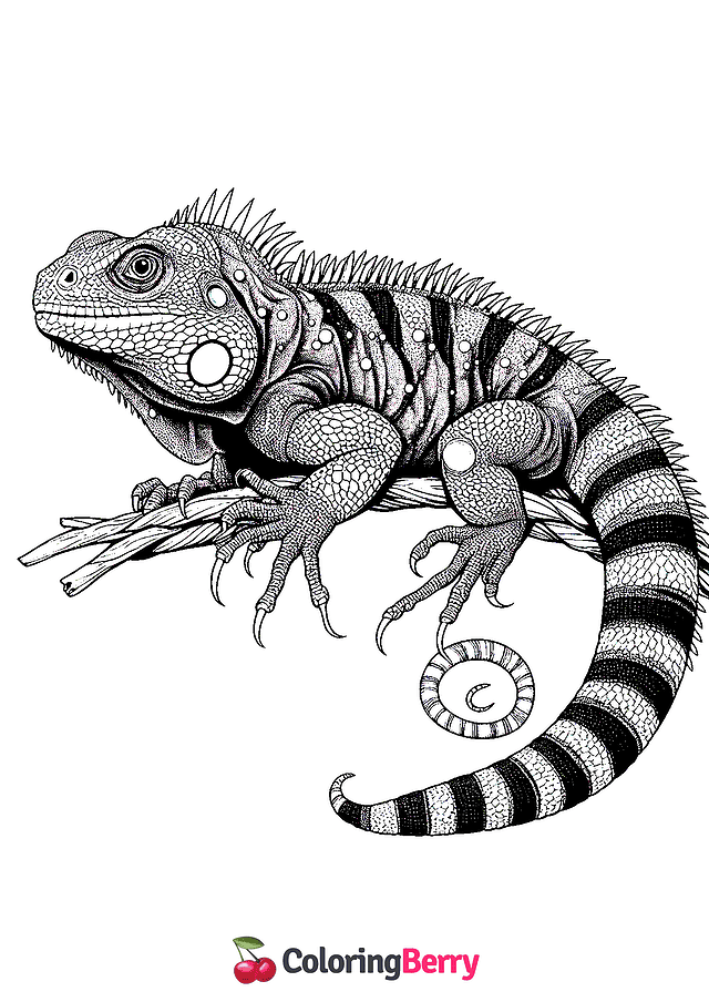 Detailed Lizard Coloring Page