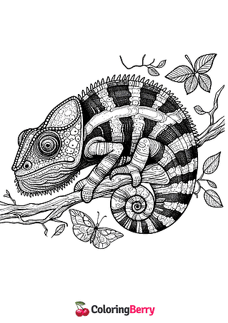 Gecko Coloring Page
