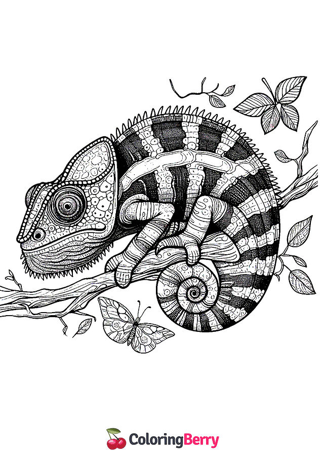 Gecko Coloring Page