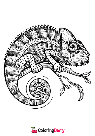 Gecko Lizard Coloring Page