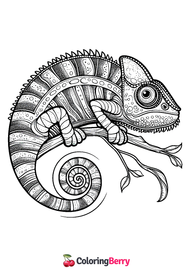 Gecko Lizard Coloring Page